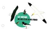 Guide "Les Oiseaux des Îles et de la Mer d'Iroise"