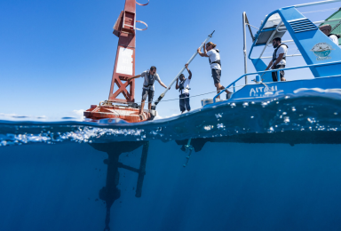 Mission d'entretien et de contrôle des sondes SMATCH dans le lagon de Mayotte. Ces sondes multi paramètres sont mises en place pour le suivi de la qualité des eaux.