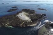 L'île de Morgol par marée basse - RNNI